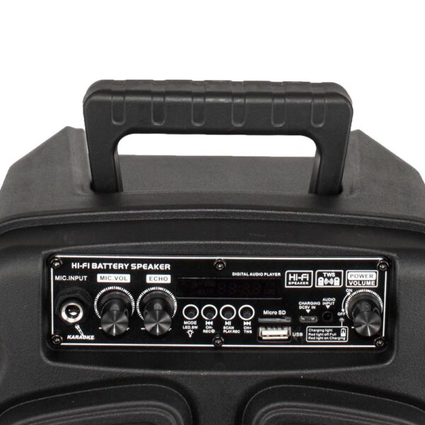 Тонколона с микрофон Rancore RS81X с LED светлини - Potrebno