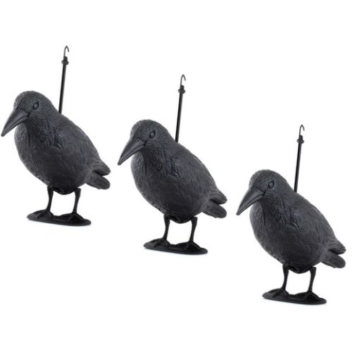 Комплект фигури на гарван за отблъскване на птици