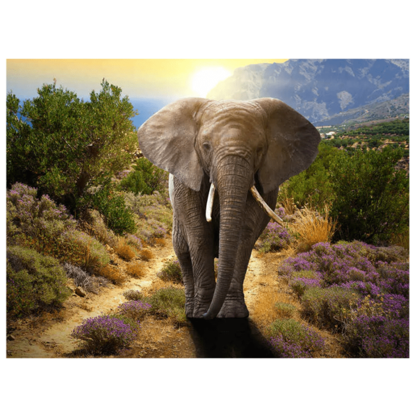 Диамантена мозайка – гоблен, 30х40см, Слон